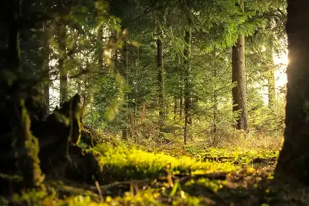Esperienze in Slovenia per viaggiatori in auto